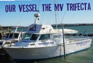 The MV Trifecta is 38ft and takes up to 10 anglers